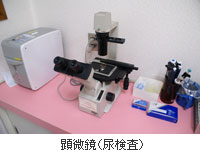 写真：顕微鏡(尿検査)